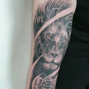 Realistic lion with rose tattoo #liontattoo #lion #realismtattoo #blackandgreyrealism #tat2holics