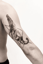 WHALELEPHANT b/g tattoo Via Cairoli 30(1ºpiano)Livorno Xinfo:📞0586/1753076 gianlucarondina@hotmail.it #drawing #tattooed #life #tattooartist #sketch #top #project #women #minimaltattoo #tattooflash #tattoomodel #singleline #mini #art #nature #artist #minimal #liner #DESIGNER #surreal #outline #tattooing #minimalism #elephant #whale