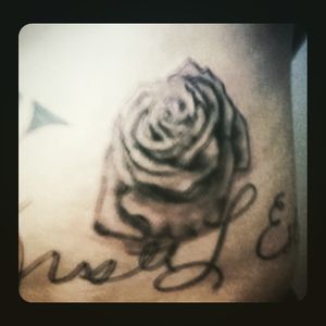 Black and Gray rose 