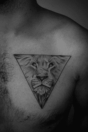 #triangle #lion #liontattoo #geometry #geometric  #triangletattoo #blackandgray 