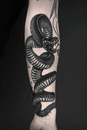 Lines healed, rest fresh • tattoos@danielasagel.com • #danielasageltattop #snake #snaketattoo #serpent #serpenttattoo #schlange #serpente #somefreshsomehealed 