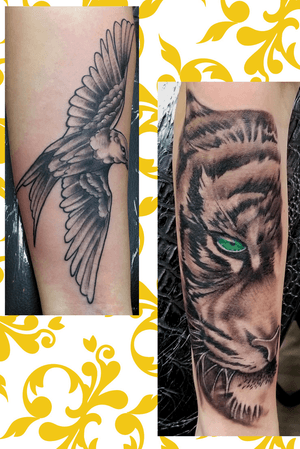 #tattoo #tattoosbythad #bird #tiger #tigertattoo #birdtattoo #realism #realistic #tigertattoo #birdtattoo #realismtattoo #realistictattoo #animal #animaltattoo 