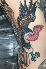 Vulture #neotraditional #neotrad #vulture #colortattoo 