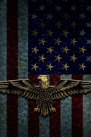 Iron American Eagle and Flag