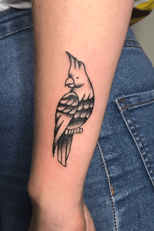#3 Cockatoo by Nobirs, Stay Classy Tattoo, Rotterdam, 2019