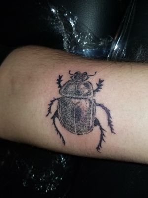 Handpoked beetle