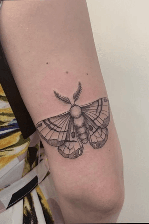 #1 Moth by Jenny Olivia, Passion 4 Ink, Rotterdam, 2019