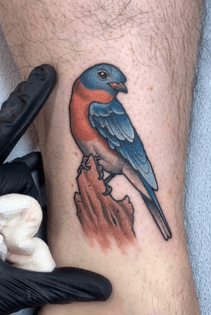 Fun bluebird tattoo on an inner ankle