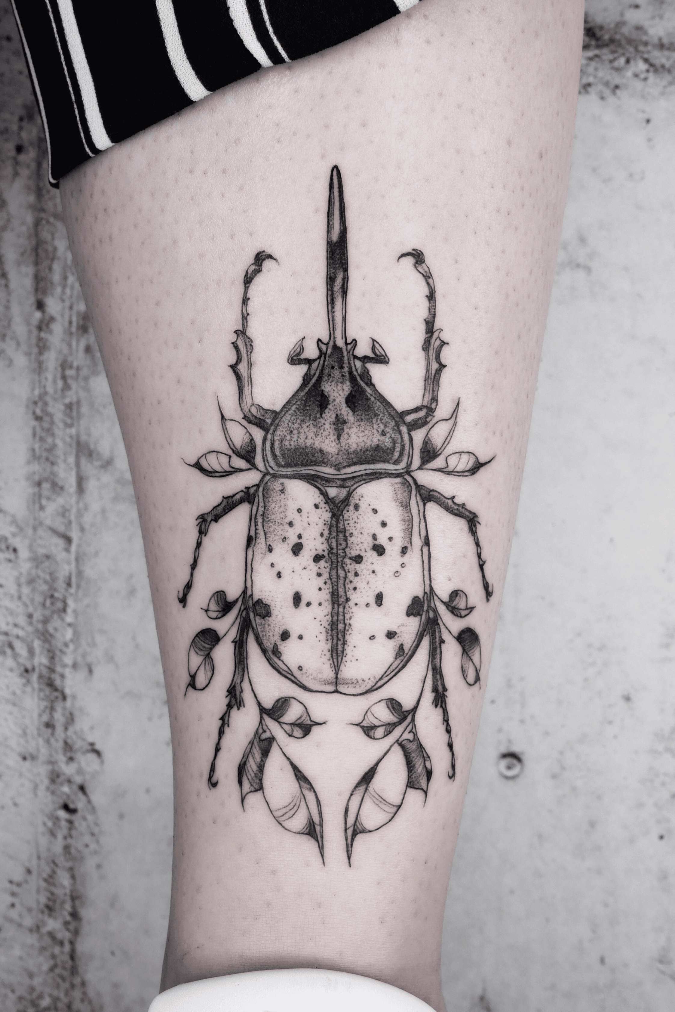 Hercules beetle for Taylor Im always ready for more insect tattoos    Instagram