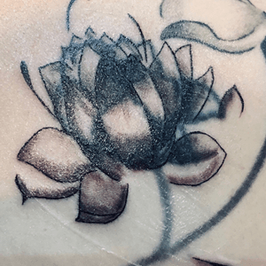 Lotus cover up 