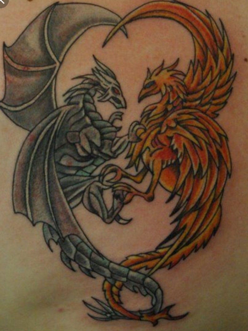 Vector Phoenix Battle Dragon Tattoo Stock Vector Royalty Free 542513980   Shutterstock