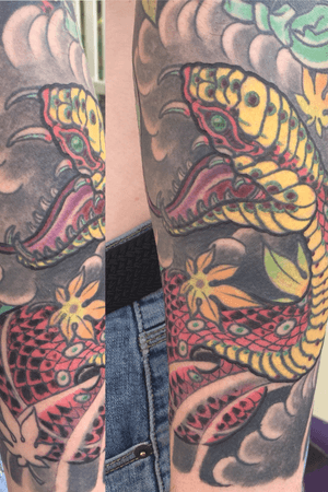 Japanese snake sleeve