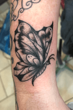 Butterfly love 