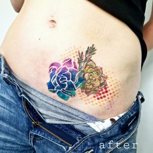 Galaxy succulent cover up