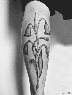#surreal #illustrative #fineline #tipping #linework #dotwork #surrealism #blxckink #tattooart #minimalism #Tattoodo #flower 