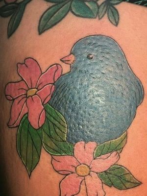 Blue Bird Tattoo#tattoo #tattoogirl #bird #birdtattoo #ink #inked #inkedgirl #inkedlife #inkedwoman #inkedup #desing #tattoodesing #proyect #work #art  #artwork #femaletattoo #femaletattooartis #womensempowerment #safespace #girlspower #flower #flowerpower #flowertattoo 