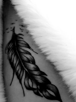Feather with little birds ~ 🕊