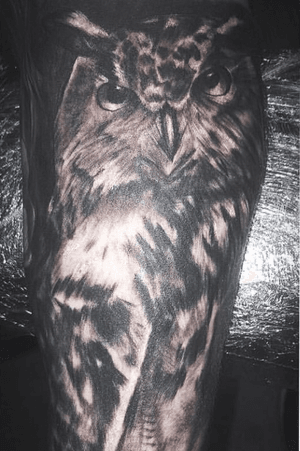 Realistic owl done at Mad Catz Tattoo by senior artist @bigbear_tattoos 