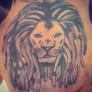 Lion with dreads on the hand