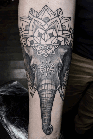 elephant mandala 