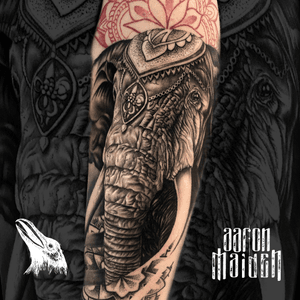 #healedtattoo/ #tattoocurado  @aaronmaidentattoo en #cuenca!! Me encanta eatoa #tattoos con detalles!! #tattoodo @tattoodo #animaltattoo #elefantetattoo #elephanttattoo #ink #blackandgrey #realism #realistic #thebesttattooartist #tattooartist  #tattooart #tattoo #worldfamousink 