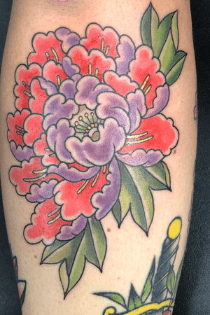 Freehand color peony
