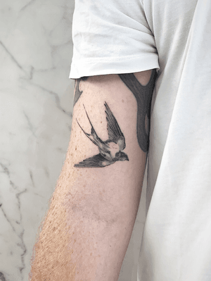Healed swallow