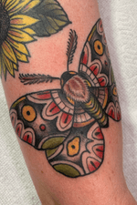 Traditional Moth - Lauren Margo Hawks Electric Tattoos - Tampa FL