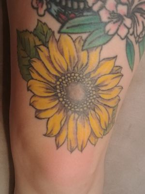 Realistic sunflower