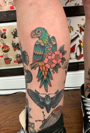Parrot and flowers 