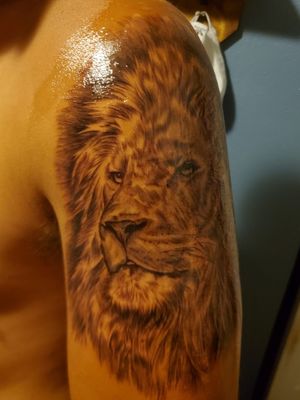 Lion I got in Maui. Left shoulder. The start of a full arm sleeve