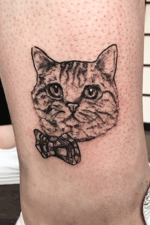 Lil 3 inch detailed cat portrait for a huge cat lover. Blackwork and some white highlight. 