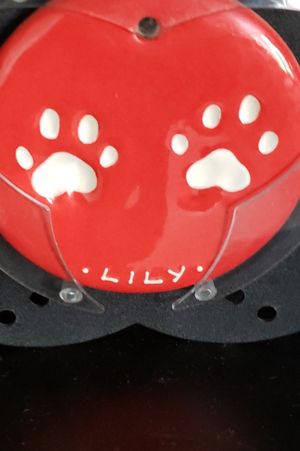 Lily's Paw print surrounded with Cherry Blossoms