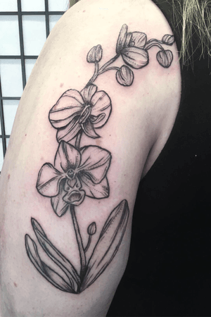 Orchid plant flowing up the arm. Mainly linework and some dotwork and whipshading used. Blackwork and white highlights.