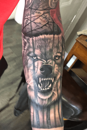 Wolf snarling with forrest background on forearm piece done today. #Wolf #Realism #Forearm