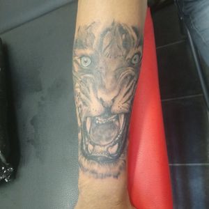 Tiger head on forearm
