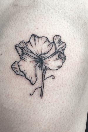 3 inch sweet pea on the leg. Fine line work and dotwork. Blackwork and white highlight.
