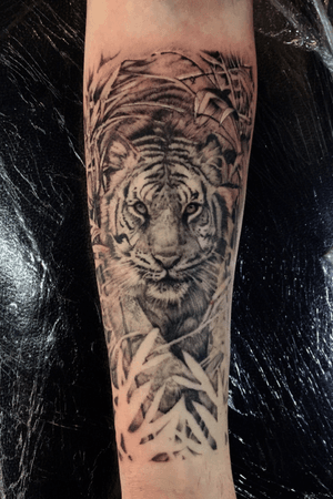 Tiger done in black and grey on inner forearm