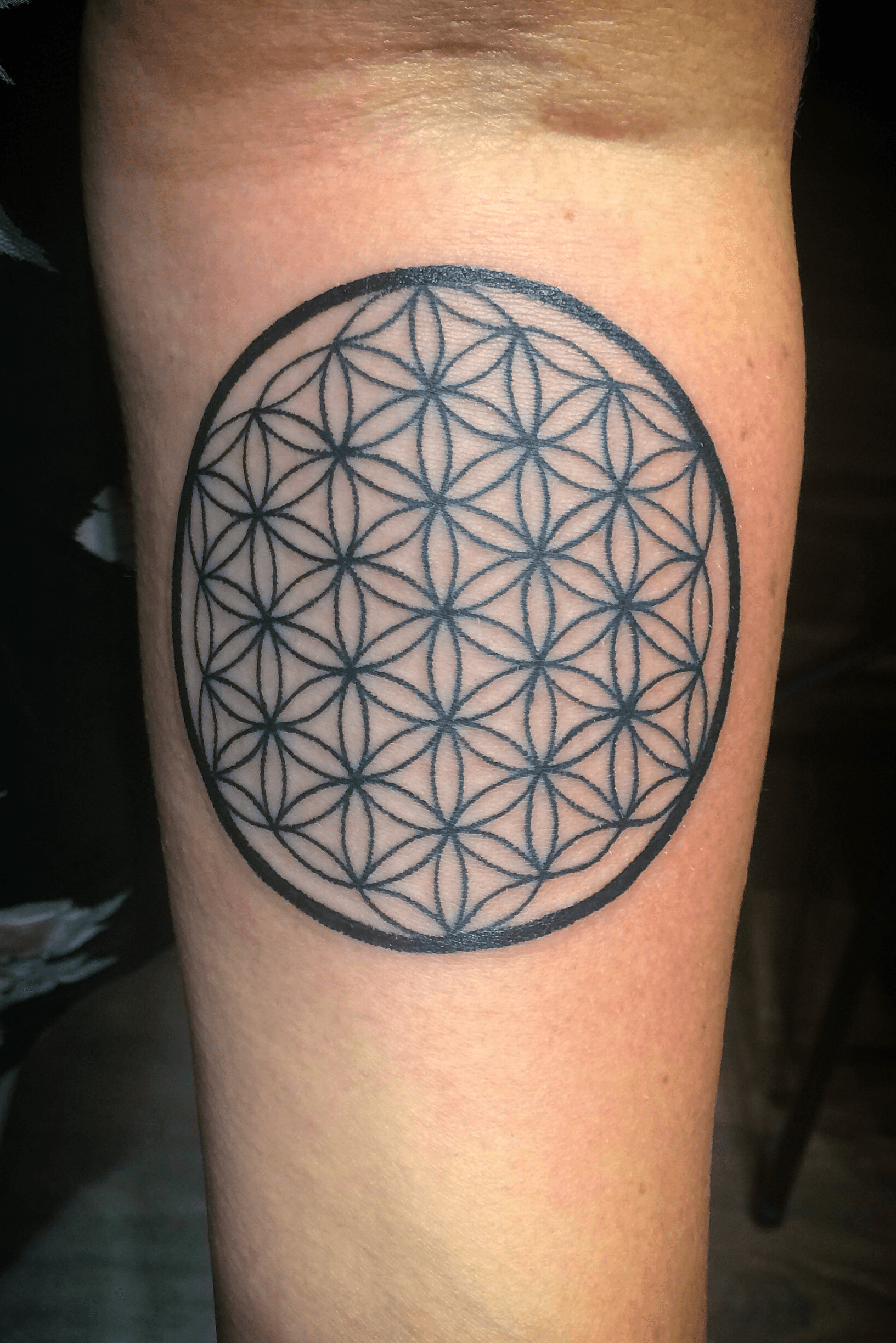 Flower of Life  The Breathtaking Detail In These Sacred Geometry Tattoos  Will Blow Your Mind  Livingly