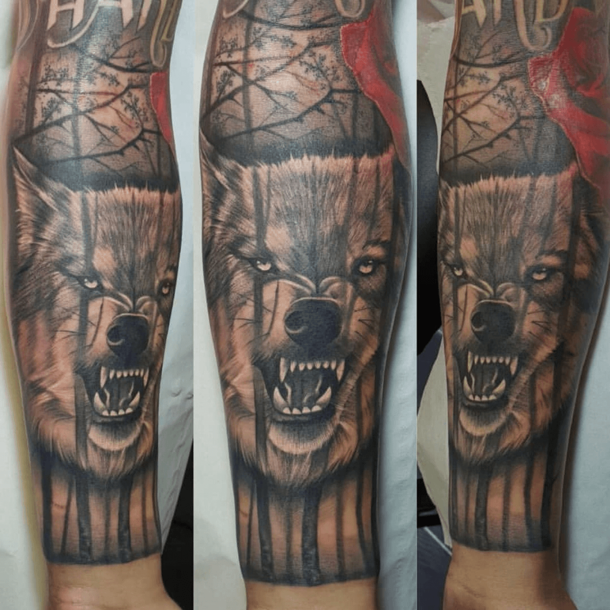 Snarling Wolf Realism Piece