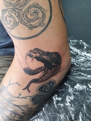 STARTED Snakes head/orobouros tattoo by Luis Puccaco 