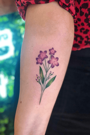 Pink Forget-me-nots. 🌸.                                  #tattoo #tattoos #tatts #uk #nottingham #colourfultattoos #watercolourtattoo #flowertattoo #botanicaltattoo #smalldetails #forgetmenotstattoo #forgetmenot #pinks #purples #artwork #tattooart#flowers #colour #uktattoos #nottinghamtattoos #inked #ink #colours #floral #floraltattoo #tattooideas #tattoodesign #details #tattoodetails #greenpower #green #floral #firsttattoo #artist 