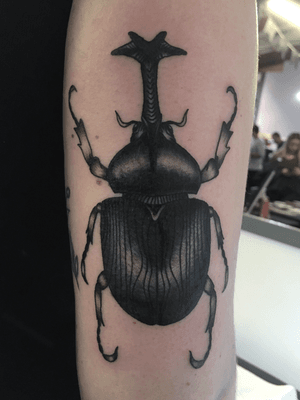 Petit scarabée realise lors d’epinal tattoo show #tattoo #tattooconvention #insecttattoo #insect #scarabée #blackwork #black #ink #darktattoo #art #artist #tatouage
