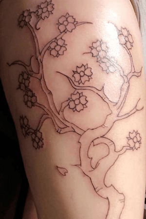 My biggest piece, which is in progress, is my thigh piece. A family tree inspired by an old weeping cherry we had in the yard my entire life. Will be water color when it is finished! So excited! 