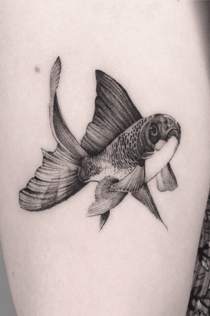 Little cute single needle fishy tattoo done @southcitymarket.com