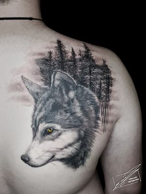 Covered up some old wolf tattoo with this huge new peace 