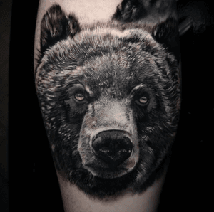Black and grey bear by @butlertattoo