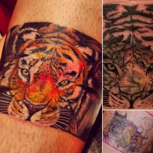 Realism Tiger Cover-up