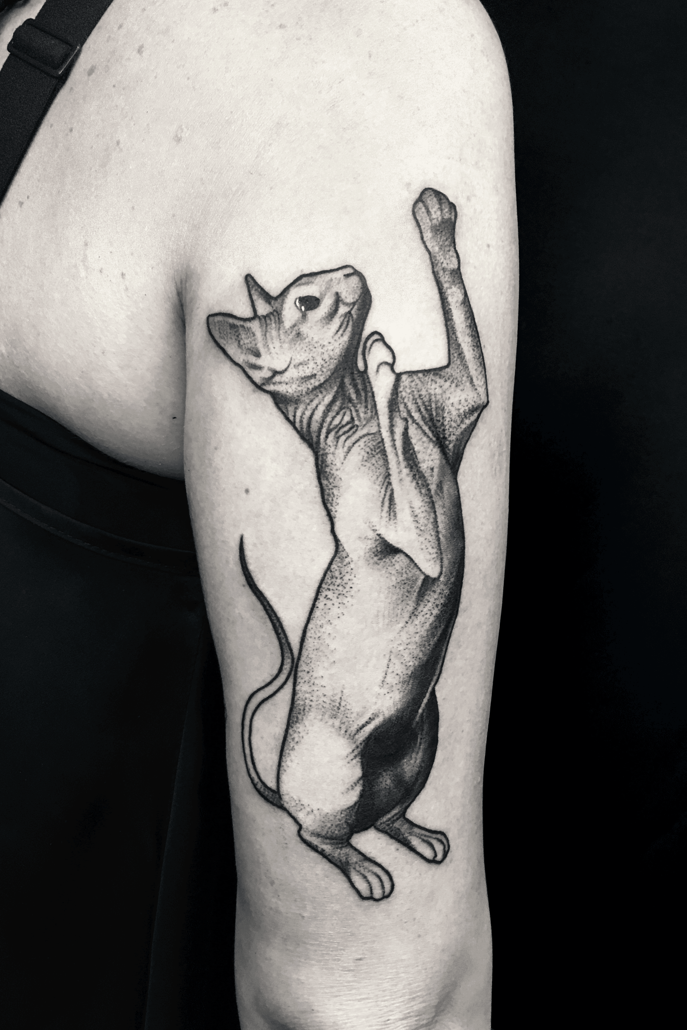 45 Dazzling Dotwork Animal Tattoos  TATTOOBLEND  Animal tattoos Deer  tattoo Tattoos