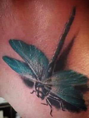 Tattoo by tucker#dragonfly #insect #colour #small #bug #colorful #nature 